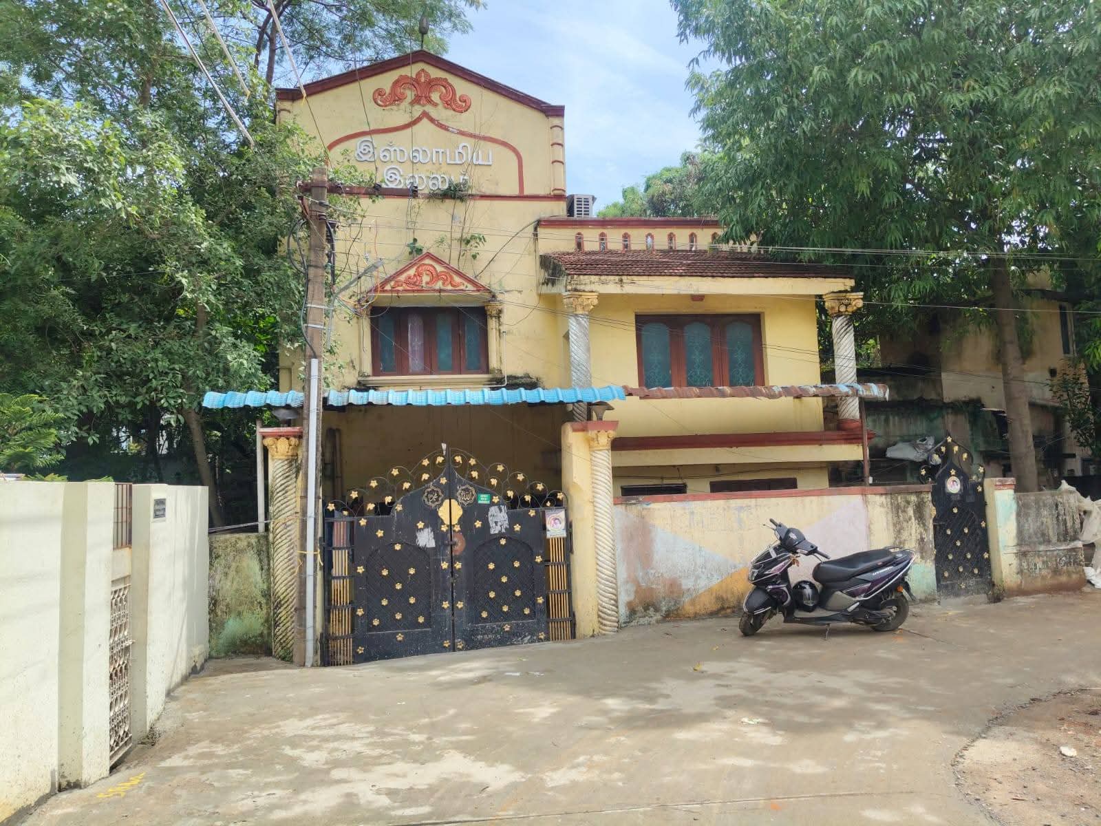 𝗣𝗔𝗠𝗠𝗔𝗟(ds)